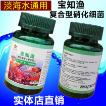 Baozhiyu compound nitrifying bacteria dry powder capsules 30 bottles of digestive bacteria aquarium products