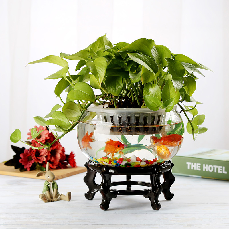 Bonsai tropical fish tank small creative desktop home desk round flat drum turtle tank ornaments decorative aquarium