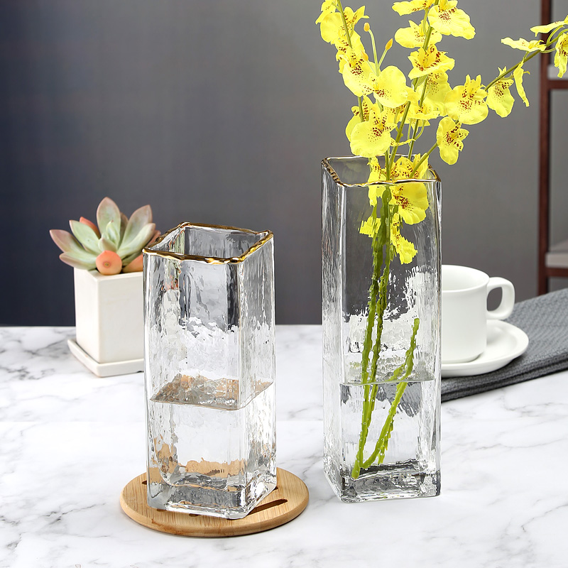 European-style light luxury cold pattern gold vase square flowers water culture rich bamboo ornaments living room glass creative transparent
