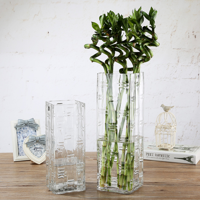 Dibyna Rich bamboo vase decoration Living room king-size hydroponic floor-to-ceiling thickened glass transparent flower arrangement water bamboo tube