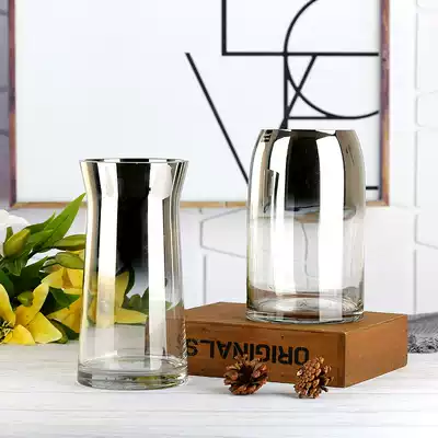 Nordic light luxury rich bamboo lily flower bottle decoration glass flower arrangement transparent dining room living room simple hydroponic flower device