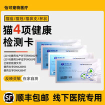 Cat Fever test paper Cat nose test paper Cat - stranded Cup - like infection test suite Pet Cat Virus test paper