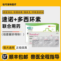 Dog and cat cold medicine cough dog teddy inflammation taddy coughing fast nano fever doxycycline