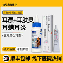 Willon Skin Remove Ear Drop Pet Dog Ear Drop Ear Drop Ear Drop Ear Drop Ear Drop