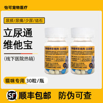 Vitamin cats have diabetic urinary tract with urinary cystitis in urinary tract infection of stourine