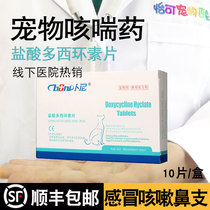 Dog cat cold medicine Cough Dog pet Teddy Anti-inflammatory tablets Cough vomiting Fever Doxycycline