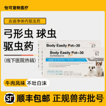 Cat Cochlora Di Typhasis DIDE DIRED THE DIRED DEND REAL DEND REAL DONE DONE DOCK DONE DOCK DONE REASE DONE