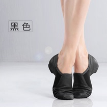 Adults children ladies mens elastic cloth super soft jazz dance shoes genuine leather soft low heels comfortable for all seasons