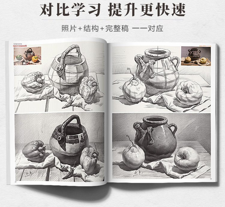 对路素描静物单体组合结构照片画临摹范本基础写生入门考级高考联考教学国美素材几何体蔡兼美术绘画画册本初级书籍教程中考教材书