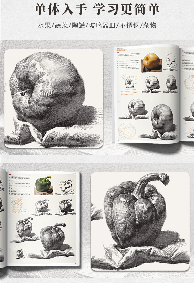 对路素描静物单体组合结构照片画临摹范本基础写生入门考级高考联考教学国美素材几何体蔡兼美术绘画画册本初级书籍教程中考教材书