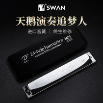 German imported sound Reed SW dreamer T2409 polyphonic harmonica 24 hole C tune senior adult professional performance level