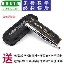 Easttop dongfangding 12-hole harmonica C tune T1248K Golden Dreamer professional playing harmonica