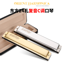 Germany imported Oriental Ding harmonica 24 holes 28 holes polyphonic accent C tune T2403 adult professional playing-level harmonica