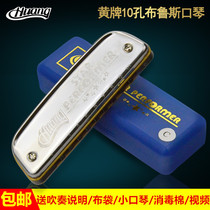 HUANG yellow card 10 hole blues harmonica C tune ship type 102 children beginners adult self-study ten hole blues