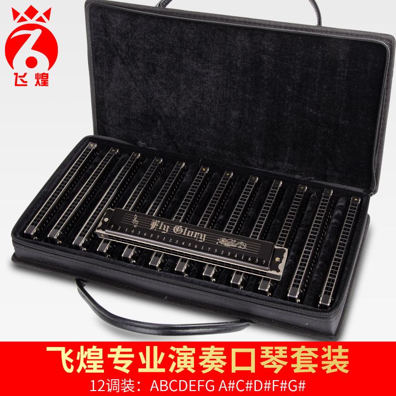 Germany imported Feihuang 24-hole polyphonic harmonica 12 major set full set of male and female 7-tone adult professional playing level