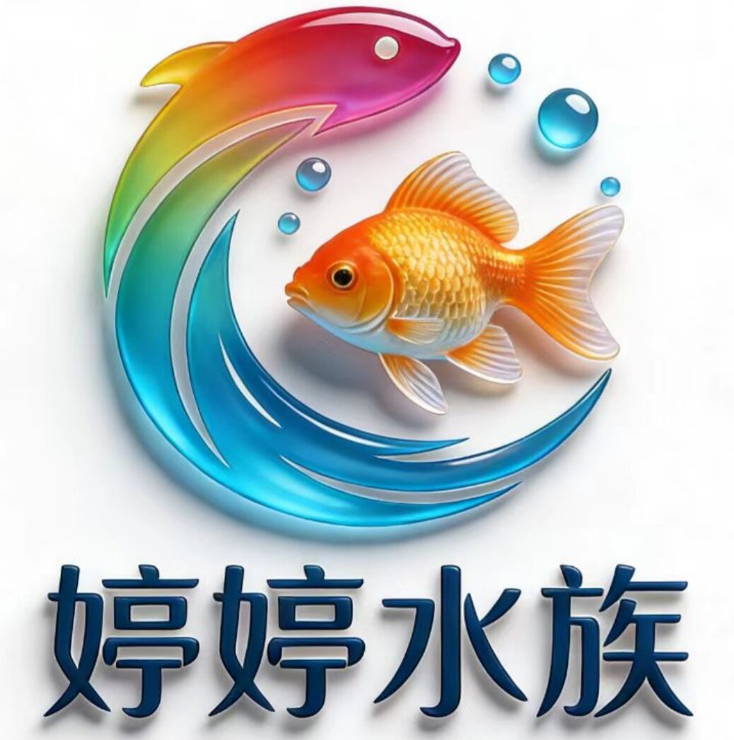 婷婷水族