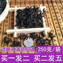Zhangjiajie wild Eucommia tea sprouts spring tea Eucommia young leaves men and women health tea 500 grams of new tea