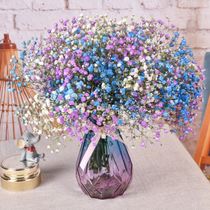 Gypsophila big bunch forget-me-not dried flowers selling home furnishings hipster Net red bouquet ins dried flowers