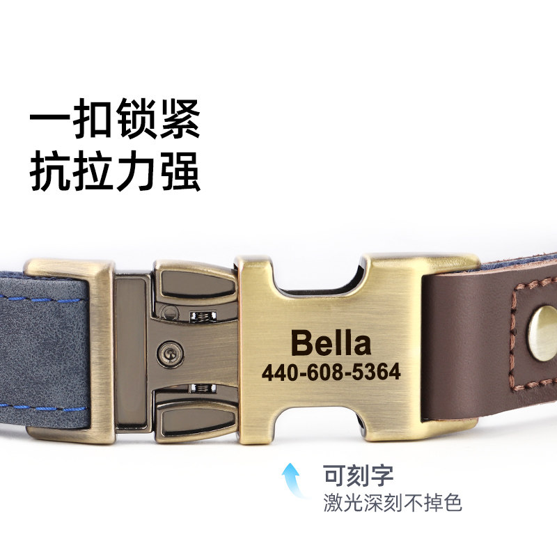 Small Dog Collar, Small Dog Neck Collar, Medium Dog Neck Collar, Engraved Anti-Lost Pet Dog Collar, Neck Collar, Dog Leash