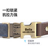 Small Dog Collar, Small Dog Neck Collar, Medium Dog Neck Collar, Engraved Anti-Lost Pet Dog Collar, Neck Collar, Dog Leash
