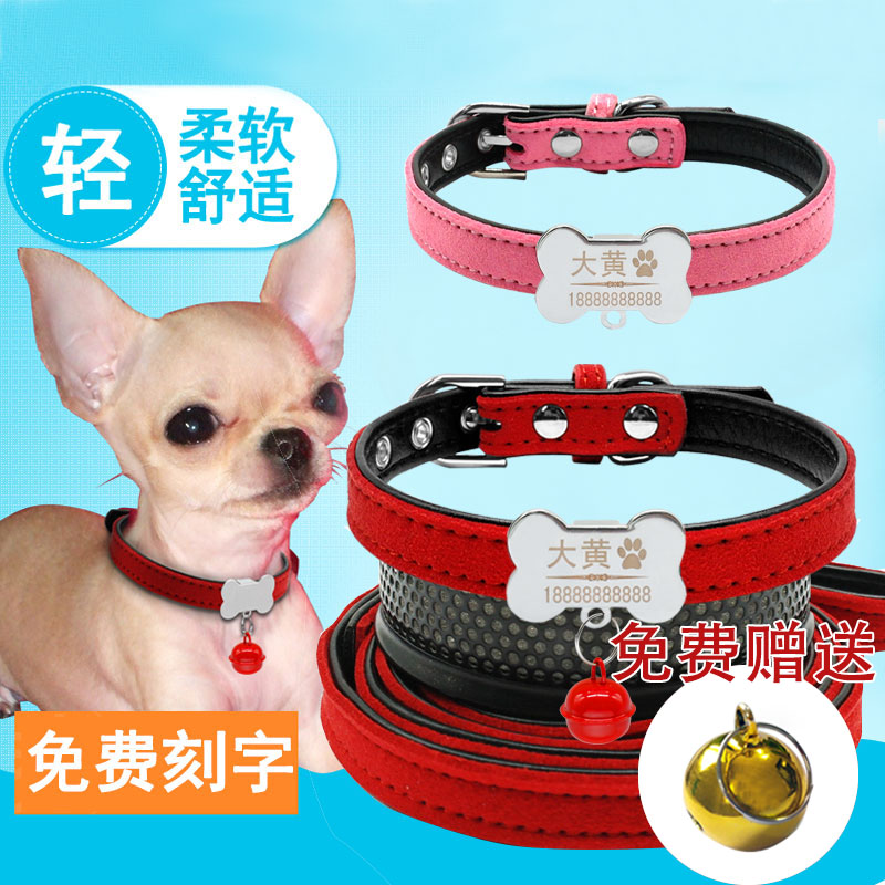 Laser lettering collar puppy small dog Teddy puppy collar dog collar Bichon Schnauzer fawn