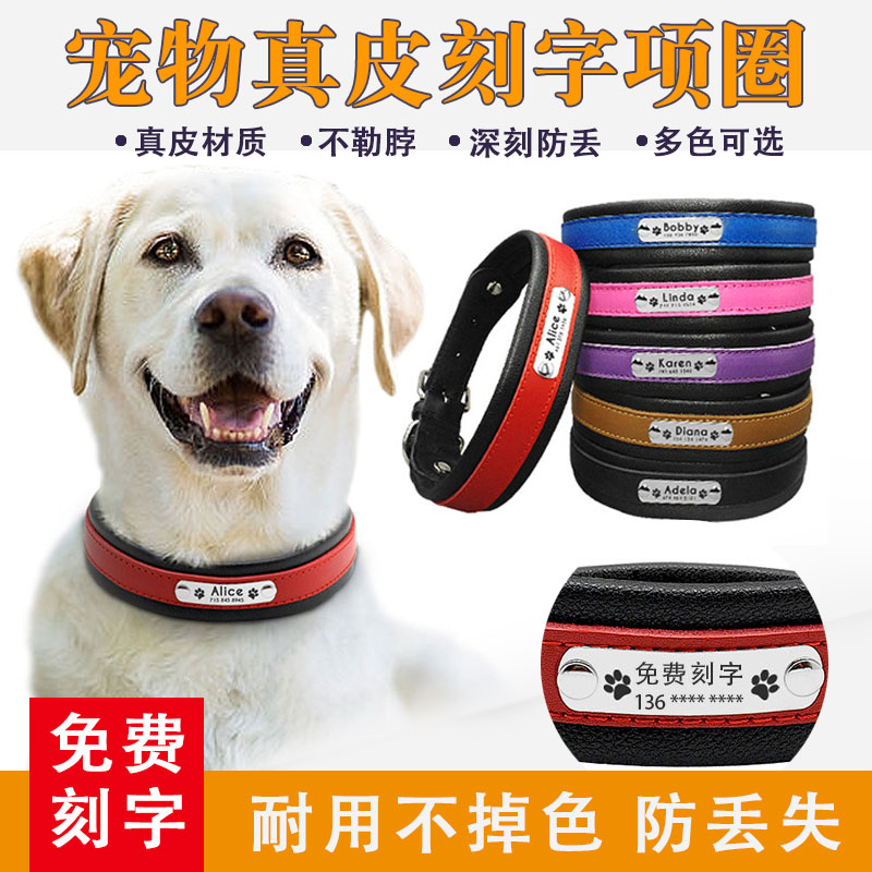 Dog lettering Item Circle Bell Medium Large Dog Sturdy Gold Wool Item Ring Samo Pet Item Ring Lettering Bull Leather