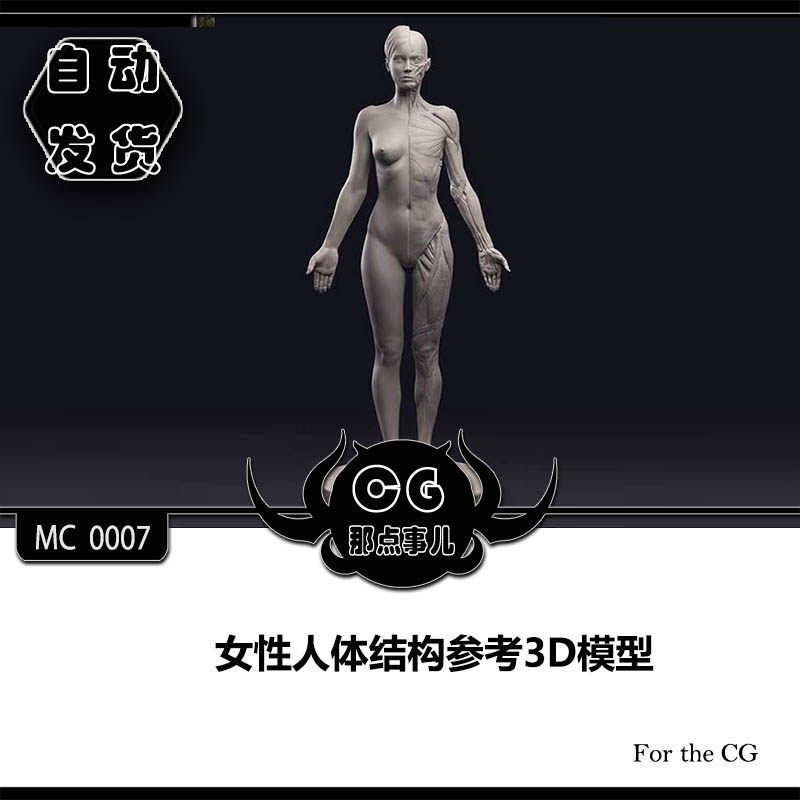 MC0007 model of human body structure reference 3D