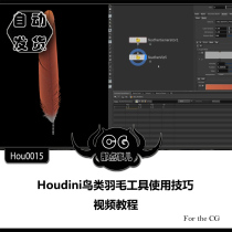 Hou0015 Houdini Bird Feather Tool Using Skills Video Tutorial