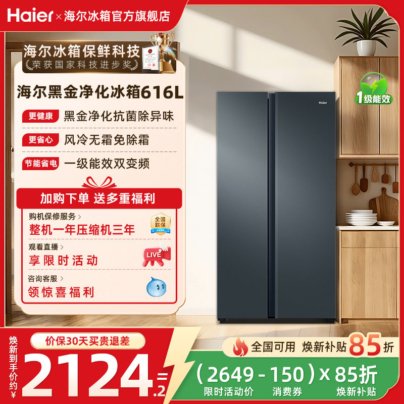 海尔BCD-616WGHSSEDC9冰箱图片