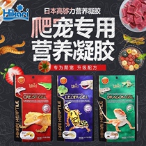 High Enough Force Importé Reptile Gel Feed Insect Recipe BAO WEN Patron Kumu Clay Mane Ciliary R appartient au grain de lézard