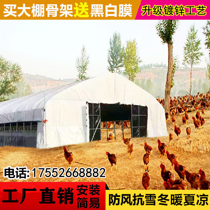 Pig greenhouse full set of greenhouse steel pipe skeleton to build a cow shed shelf to raise chickens Dapeng breeding chicken coop sheep greenhouse