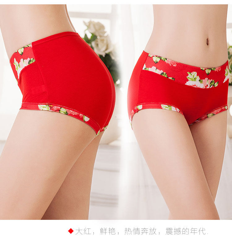 Slip jeunesse en coton - Ref 640937 Image 31