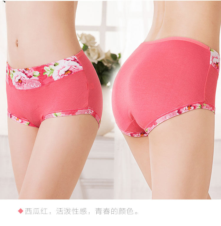 Slip jeunesse en coton - Ref 640937 Image 30