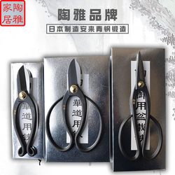 Chutaoya ມື forged pruning shears ຮູບຮ່າງ bonsai potted stainless steel leaf bud shears twig shears ໂຮງງານເຮັດສວນເຮືອນ