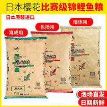 Japanese Sakura fish food Koi goldfish special sinking fish food feed carp small particles ornamental fish bait household