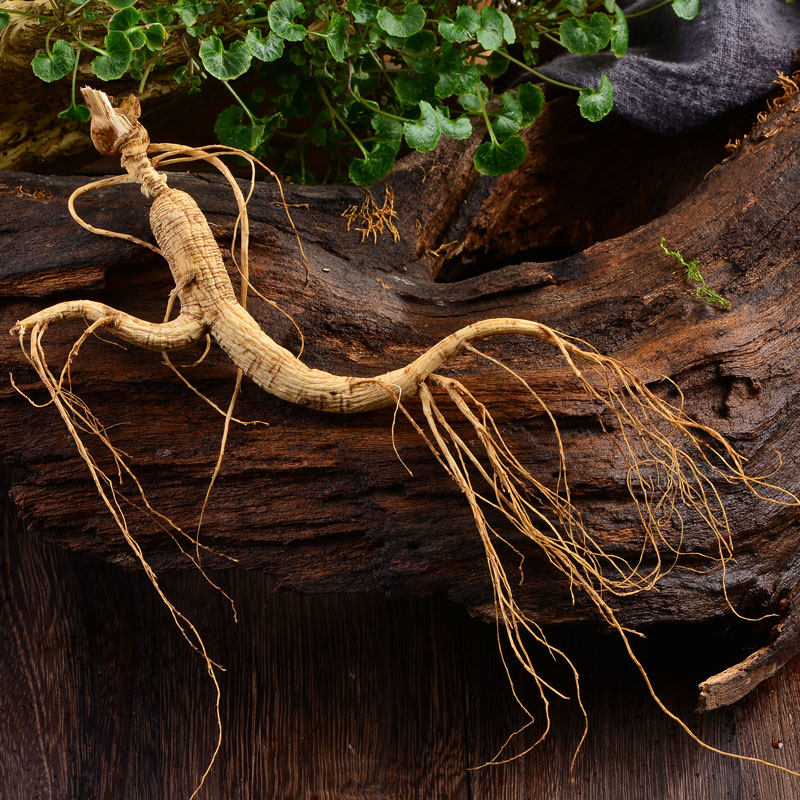 Long White Mountain Ginseng Northeast Teryield Mountain Ginseng Woods with Deep Taste Strong single Support RMB32