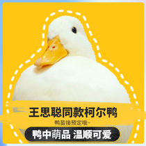 How much does the supplement link cost to shoot how much Contact customer service after placing an order