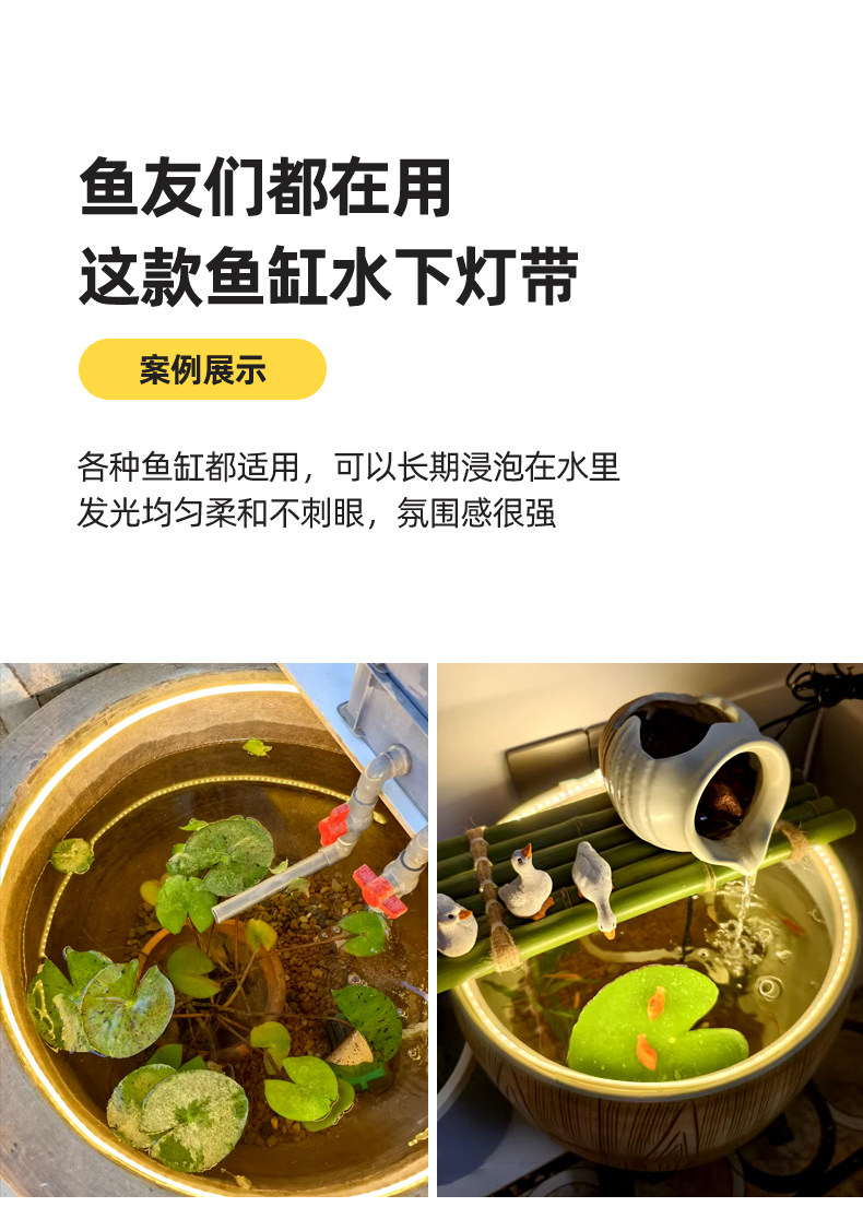 Атмосферы света 古法鱼缸灯 专用灯带防水下泡水圆缸养鱼池氛围低压直插自粘灯条 Leesa