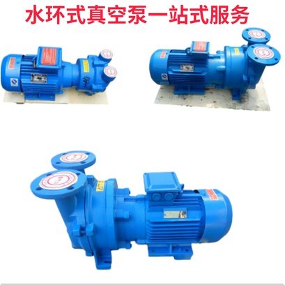 2BV pumping water ring stainless steel vacuum pump industry 3 4 5 5 7 11KW oil-free vacuum pump accessories