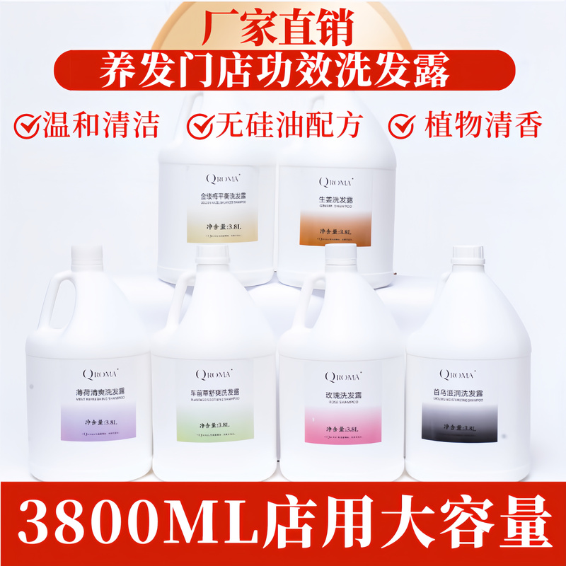 Special Anti-Dandruff Shampoo for Hair Salons, Containing Plantain, Oil Control, Ginger, Rose, Silicone-Free, Deep Cleansing Scalp Shampoo