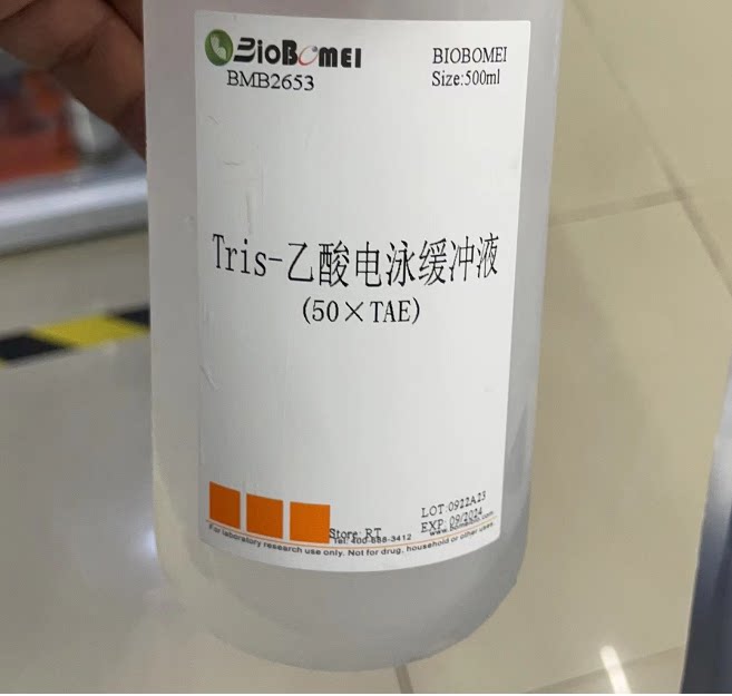 50&times;TAE  / Tris-乙酸电泳缓冲液  常用于DNA凝胶电泳实验500ml