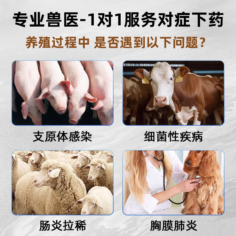 兽药恩诺沙星注射液:宠物健康守护神,解决拉稀肺炎一针见效!-狗特色药品-淘宝好物网