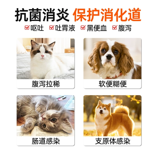 Отациклин для собак и кошек диарея лекарство для диареи и мягкого стула для собак и кошек