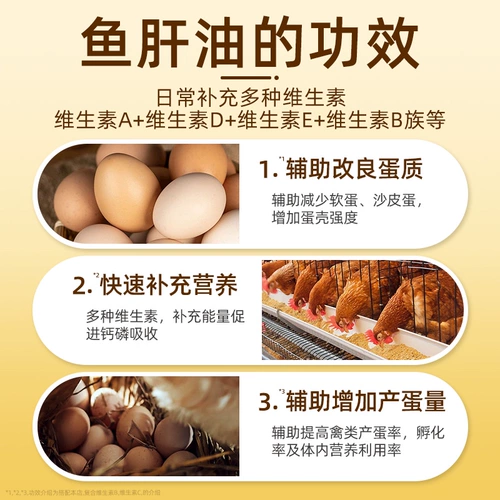 Употребление зверя Скорость масла печени Скорость печени растворенная и концентрированная масла для печени трески мульти -витамин курицы для утки, гуся, свиньи, коров, овец и птицы