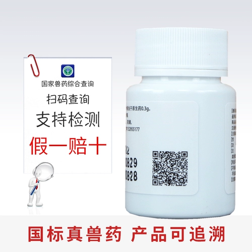 Ветеринарные препараты и звери с таблетками детоксикации Coptis, цыплят, голубей, голубей, холода, тепла, тепла, детоксикации, антивирусной профилактической медицинской помощи