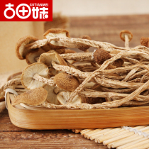 Gutian sister tea tree mushroom dry goods do not open umbrella 250g new goods Fujian farm specialty small mushroom Edible Mushroom mushroom