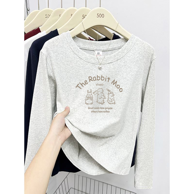 Light Gray Long-Sleeved T-Shirt for Women, New Spring and Autumn Pure Cotton Base Shirt, Outerwear for Early Autumn, Thin and Very Stylish Top