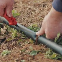 Field irrigation hose drip irrigation belt agricultural drip irrigation tube patch type drip irrigation belt micro spray belt main pipe drip irrigation tube agricultural drip