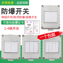 Thick piece 86 type explosion protection switch 220V 10A Ming loaded concealed wall single open double open triple open four open lighting switch