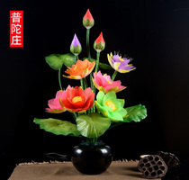 Buddha front lanterns potted plants with bonsai flowers colorful home fiber lotus lanterns lanterns Buddha lanterns